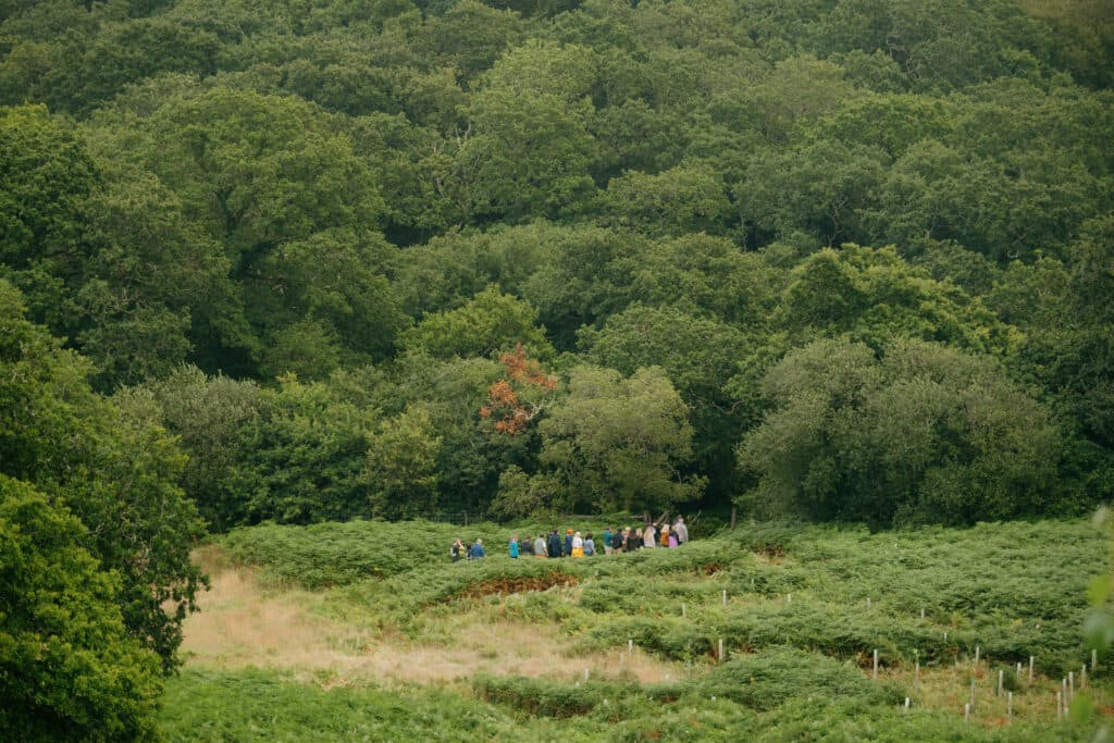 Woodland landscape at Plant One Cornwall