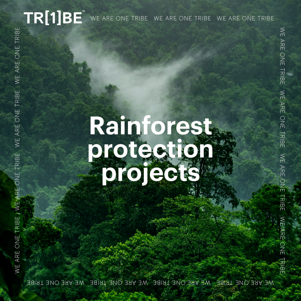 Rainforest protection page sq