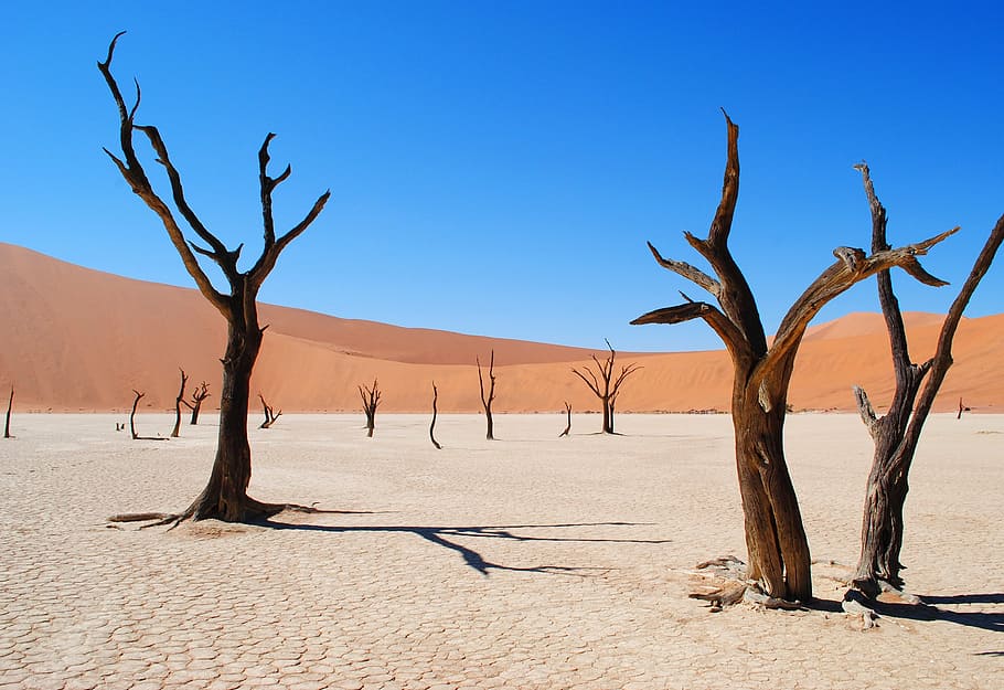 deadvlei-namibia-africa-desert - Full credit to wallpaper flare