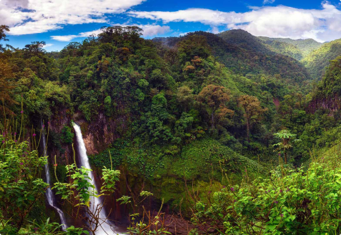 hero-rainforest-waterfall cropped