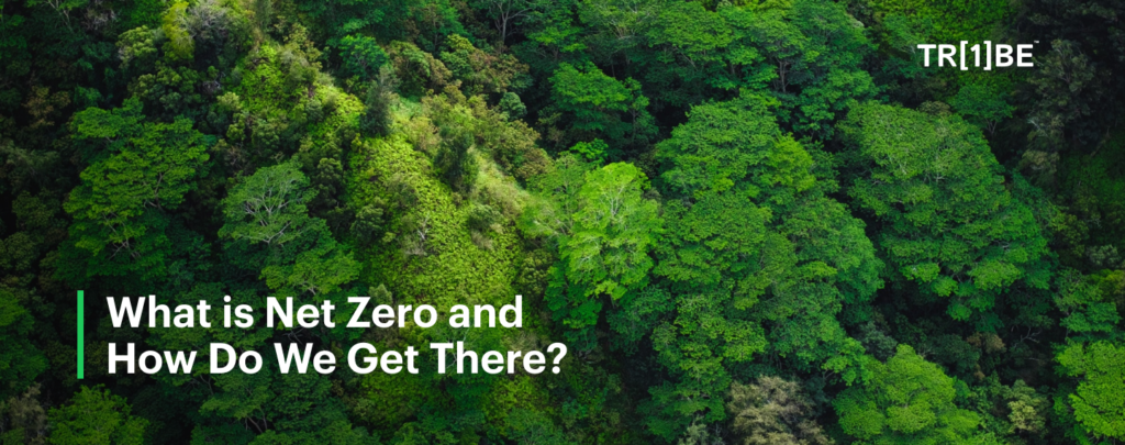 What is Net Zero and How Do We Get There?