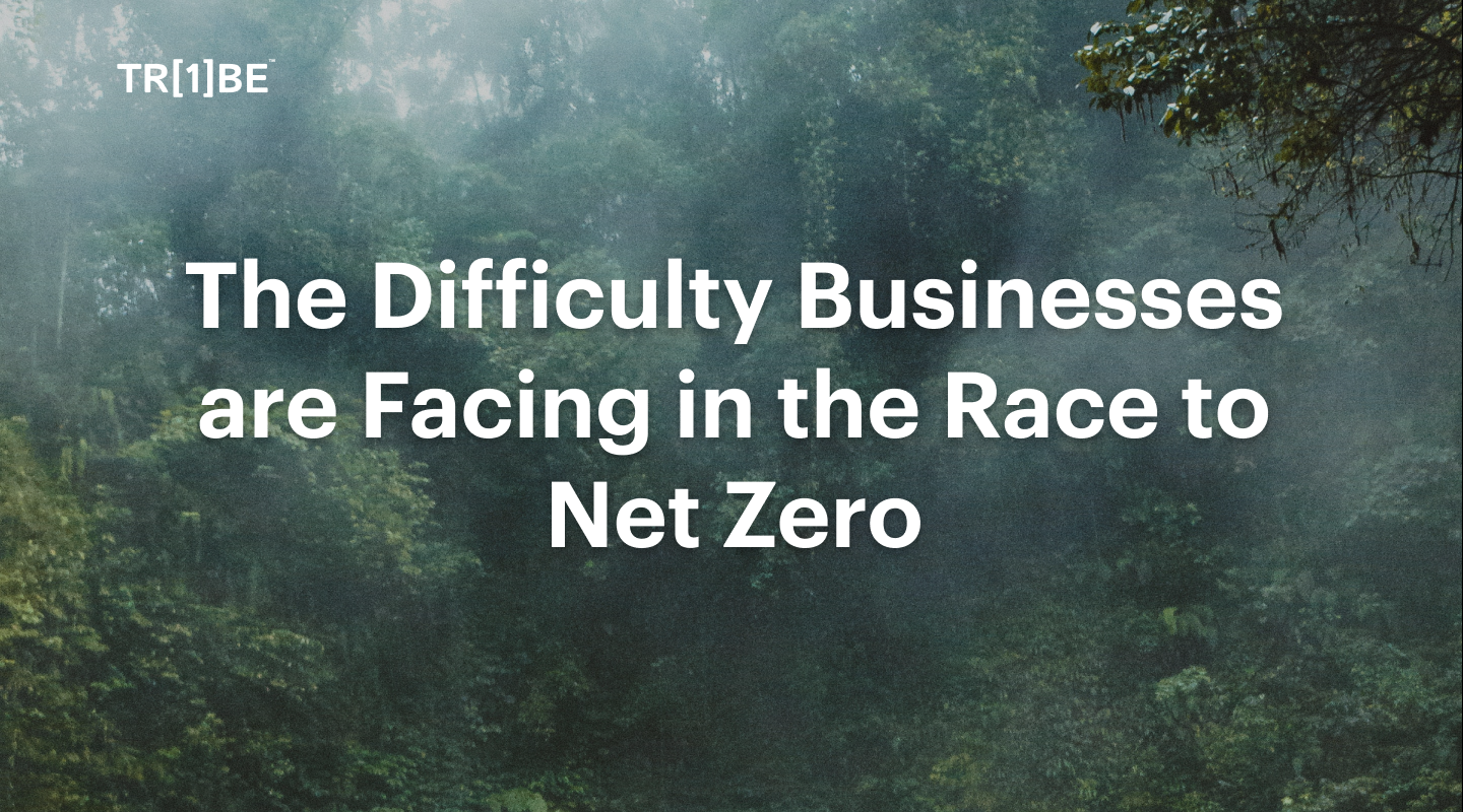 The Difficulty Businesses are Facing in the Race to Net Zero