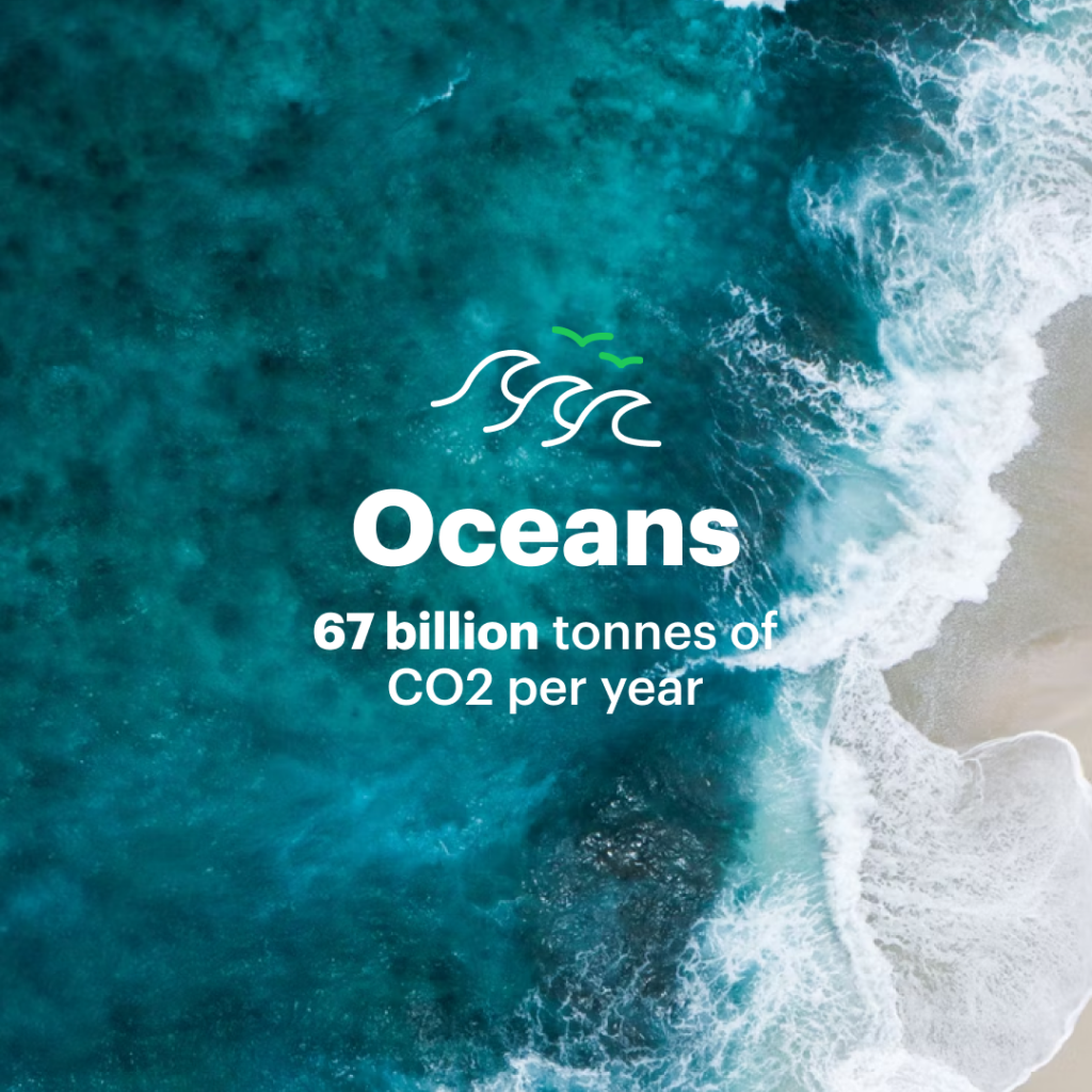 natural solutions to climate change the ocean