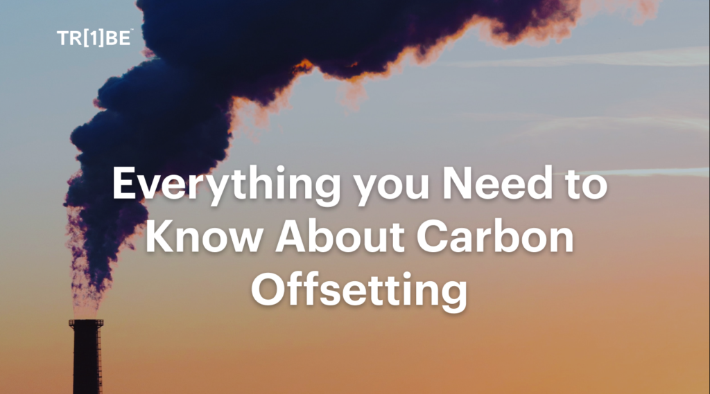 what are carbon offsets_ Everything you Need to Know About Carbon Offsetting