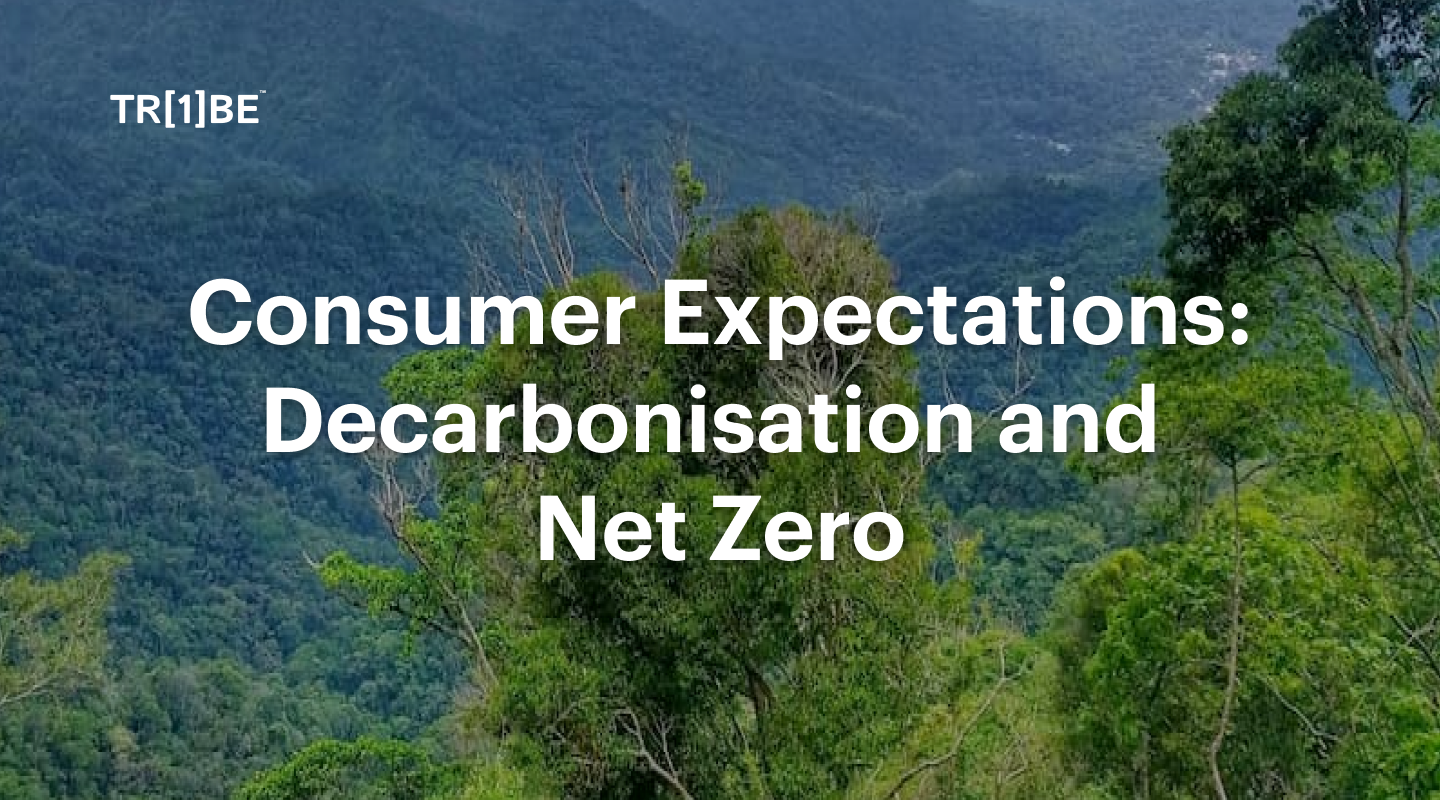 Consumer Expectations Surrounding Decarbonization and Net Zero
