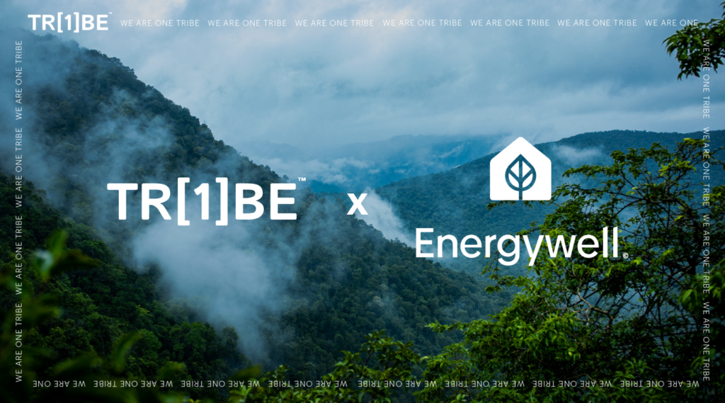 One Tribe partners with sustainable energy providers Energywell Think Energy