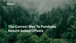 The Correct Way To Purchase Nature-based Offsets