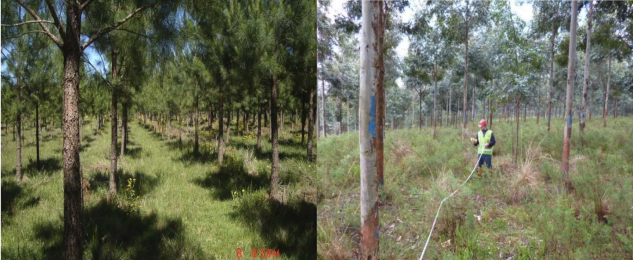 Captura de Tela 2024-11-07 às 14.57.47