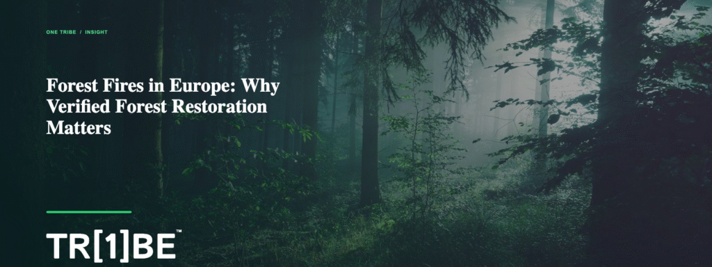 Forest fires in Europe and verified forest restoration