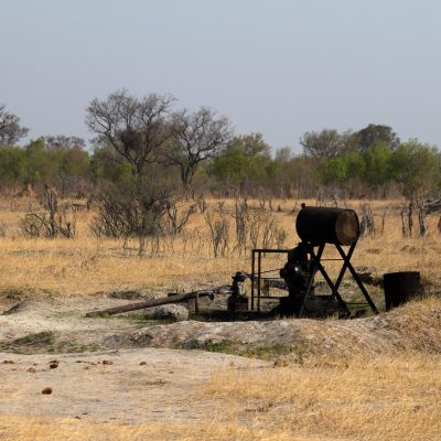 Die Savanne im Südlichen Afrika