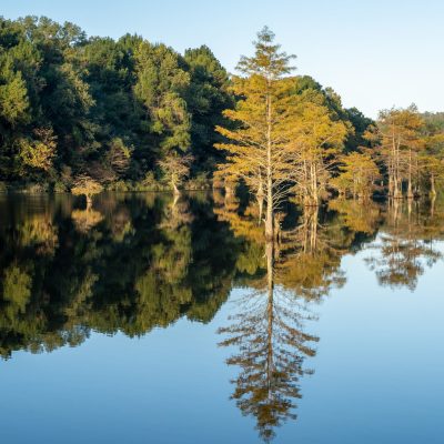 Trees line the water ways of Broken Bow, Oklahoma.