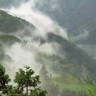 Rice terrace in the mountain in morning mist, Jiabang, Guizhou Province, China