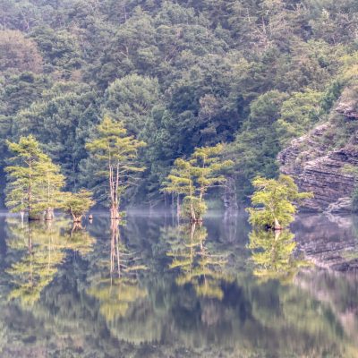 Beavers bend state park, Oklahoma.