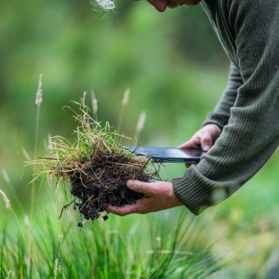farmer collecting soil samples in a test tube in a field. Agronomist checking soil carbon and plant health