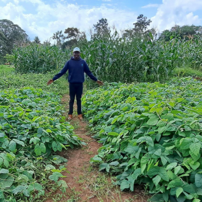 Boomitra East Africa Carbon Farmer