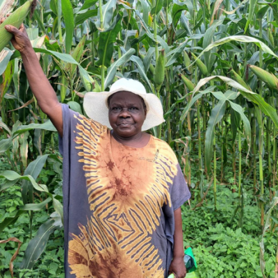 Boomitra Kenya Carbon Farmer