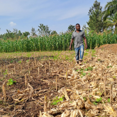 Boomitra Kenya Farmer