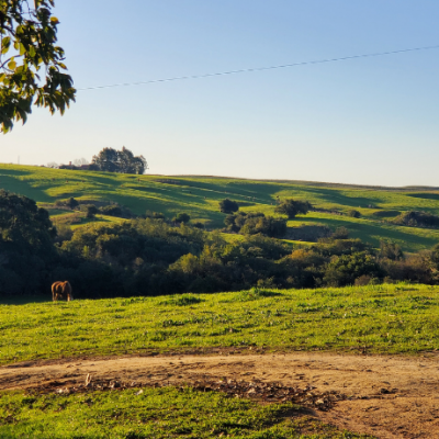 Boomitra SA Grassland Project Area