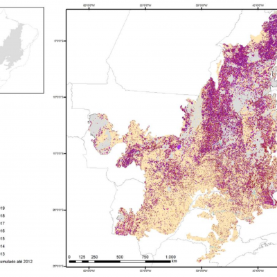 Accumulated Deforestation in the Cerrado biome since 2019