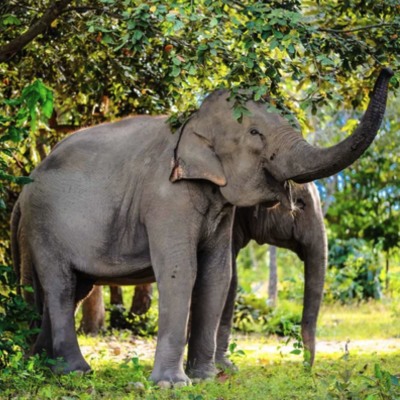 Captura de Tela 2023-06-13 às 14.39.39