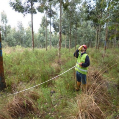 Captura de Tela 2024-11-07 às 14.58.50