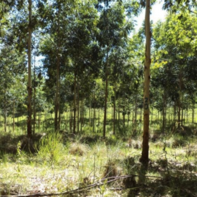 Captura de Tela 2024-11-07 às 14.58.58