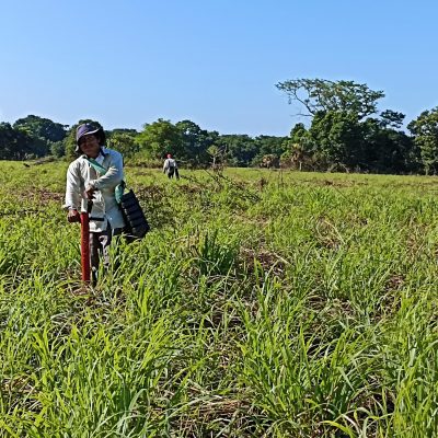 Plantando 05
