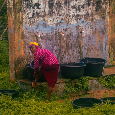 pexels-damilola-saka-2151411578-34020197